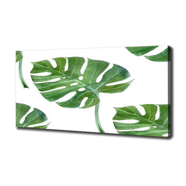 Quadro su tela Monstera