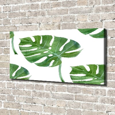 Quadro su tela Monstera