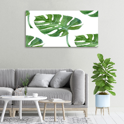 Quadro su tela Monstera