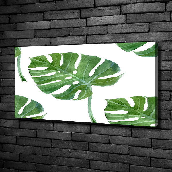 Quadro su tela Monstera