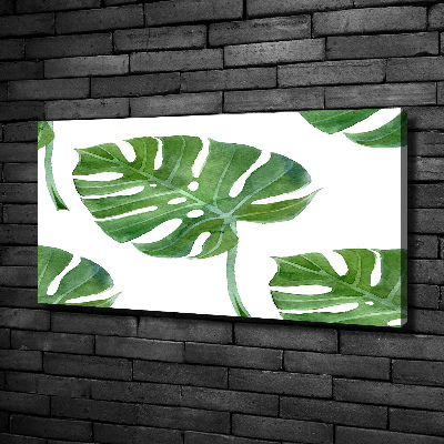 Quadro su tela Monstera