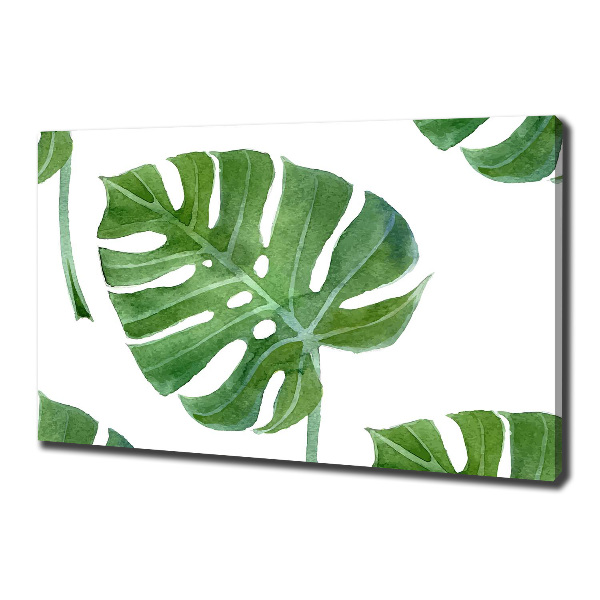 Quadro su tela Monstera