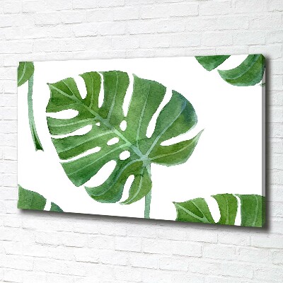Quadro su tela Monstera