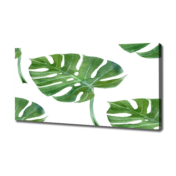 Quadro su tela Monstera