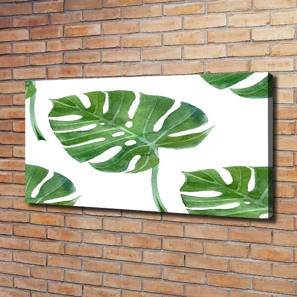 Quadro su tela Monstera