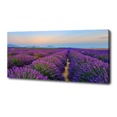 Quadro su tela Campo di lavanda