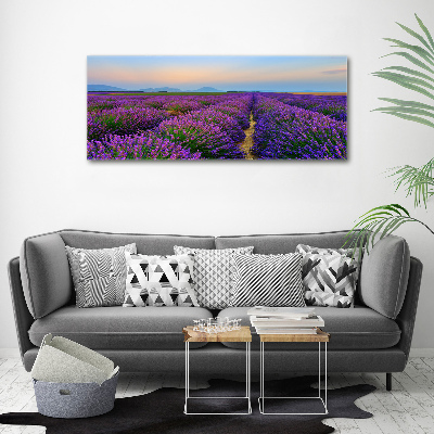 Quadro su tela Campo di lavanda
