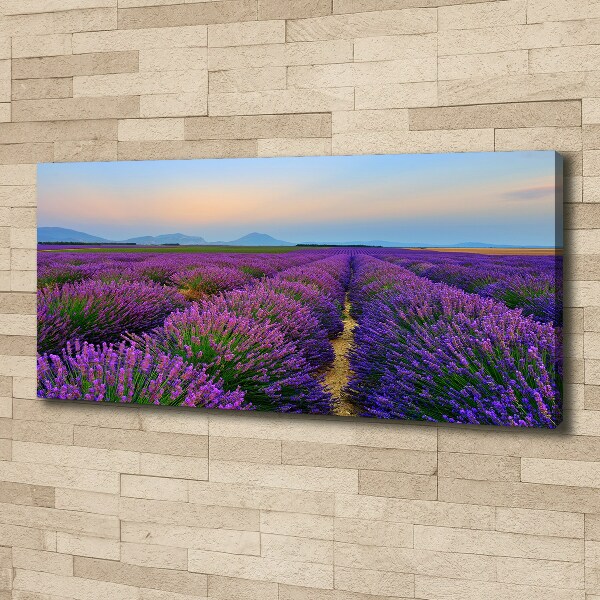 Quadro su tela Campo di lavanda