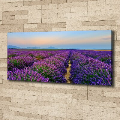 Quadro su tela Campo di lavanda