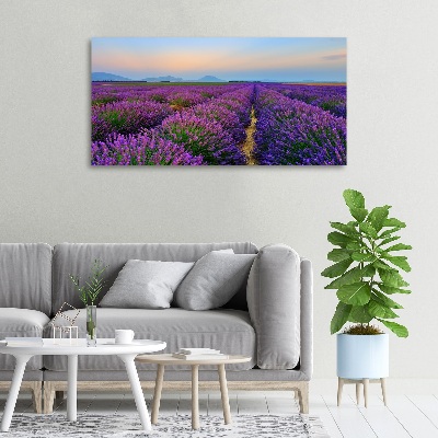 Quadro su tela Campo di lavanda