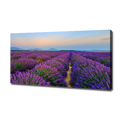 Quadro su tela Campo di lavanda