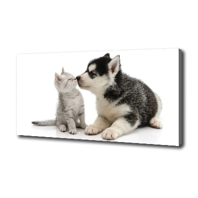Foto quadro su tela Cane e gatto