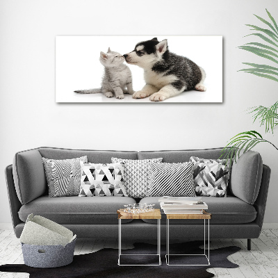Foto quadro su tela Cane e gatto