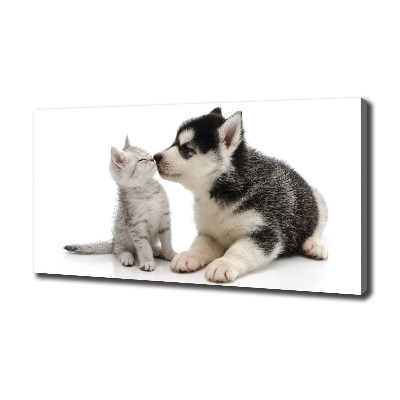 Foto quadro su tela Cane e gatto