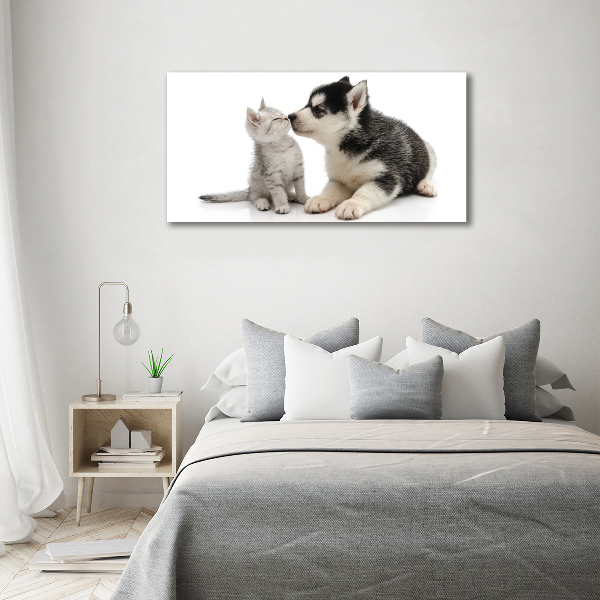 Foto quadro su tela Cane e gatto