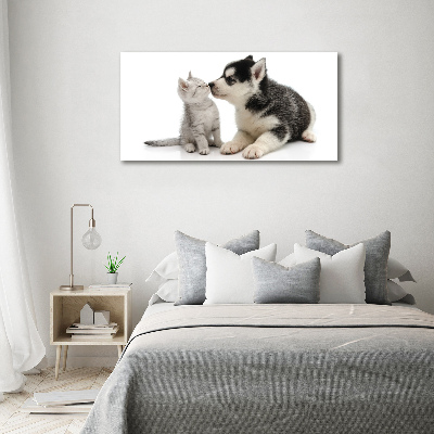 Foto quadro su tela Cane e gatto