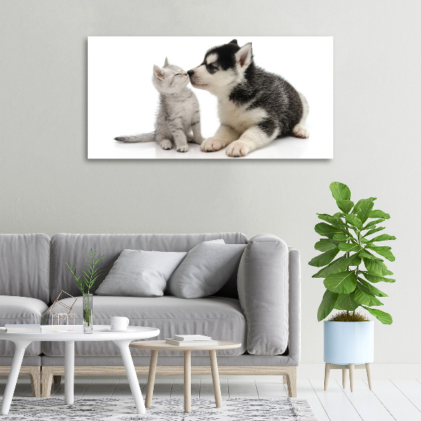 Foto quadro su tela Cane e gatto
