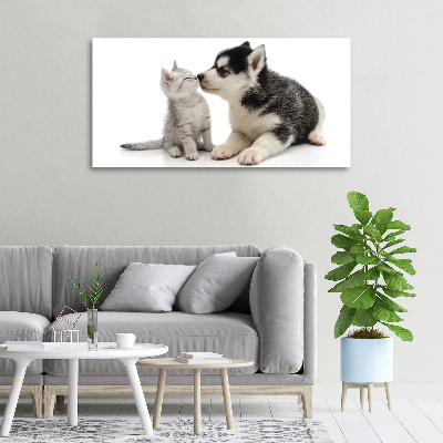 Foto quadro su tela Cane e gatto