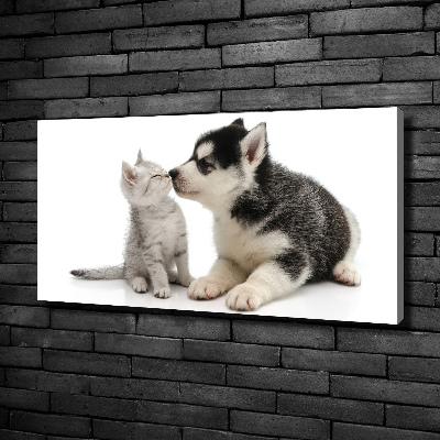 Foto quadro su tela Cane e gatto