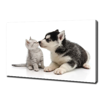 Foto quadro su tela Cane e gatto