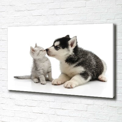 Foto quadro su tela Cane e gatto