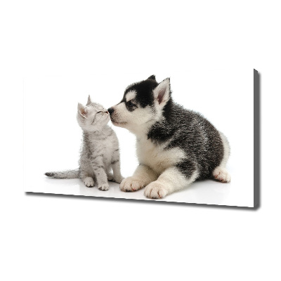 Foto quadro su tela Cane e gatto