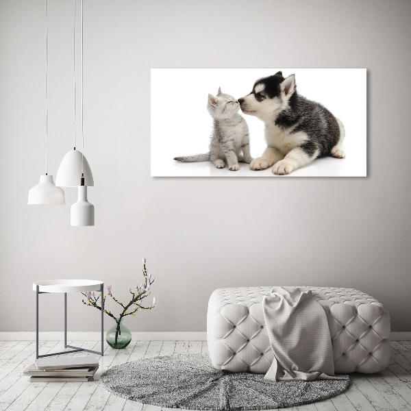 Foto quadro su tela Cane e gatto