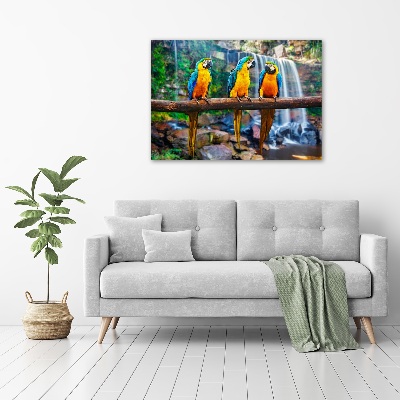 Quadro su tela Pappagalli su un ramo