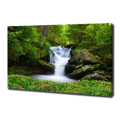 Quadro su tela Cascata nella foresta