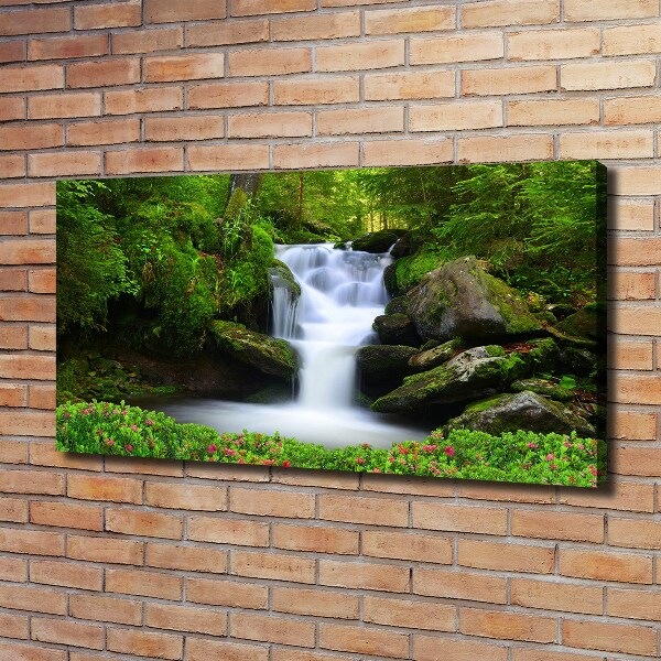 Quadro su tela Cascata nella foresta