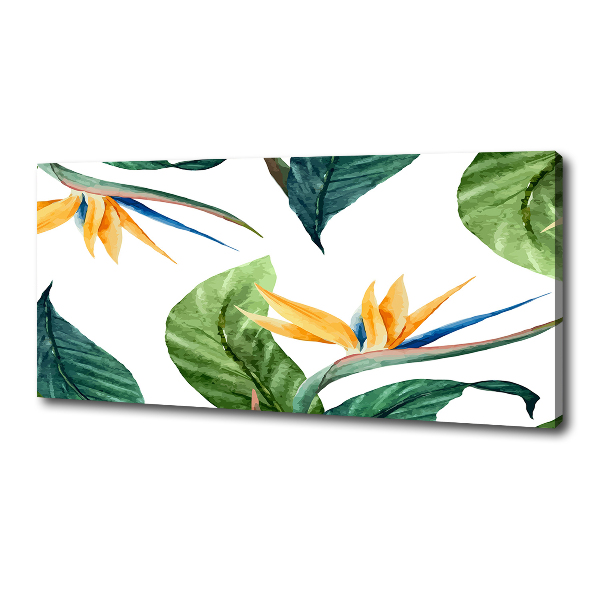 Foto quadro su tela Fiori tropicali