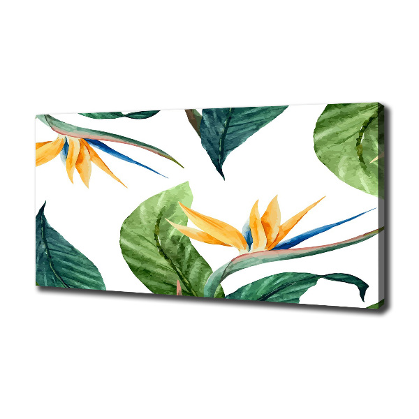 Foto quadro su tela Fiori tropicali