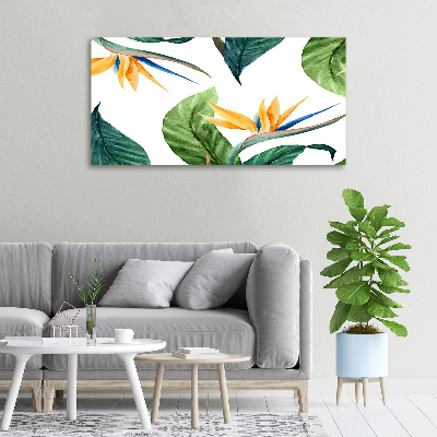 Foto quadro su tela Fiori tropicali