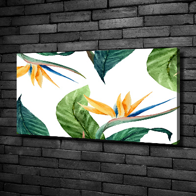 Foto quadro su tela Fiori tropicali
