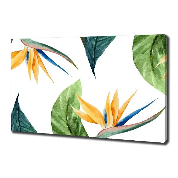 Foto quadro su tela Fiori tropicali