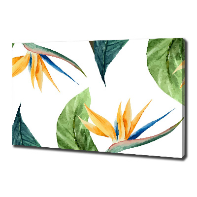 Foto quadro su tela Fiori tropicali