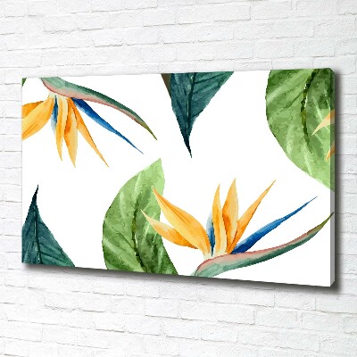 Foto quadro su tela Fiori tropicali