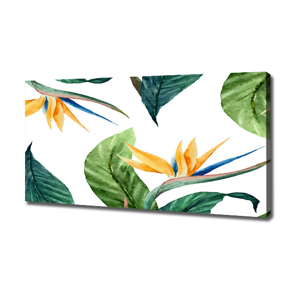 Foto quadro su tela Fiori tropicali