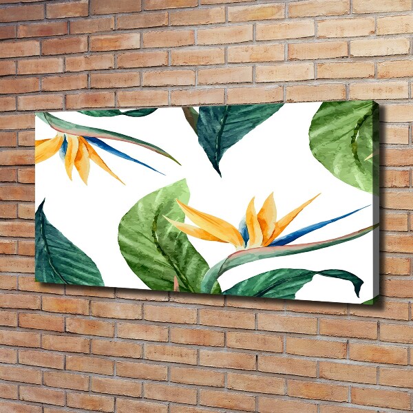Foto quadro su tela Fiori tropicali