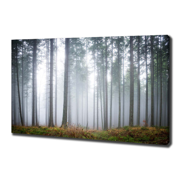 Quadro stampa su tela Nebbia nella foresta
