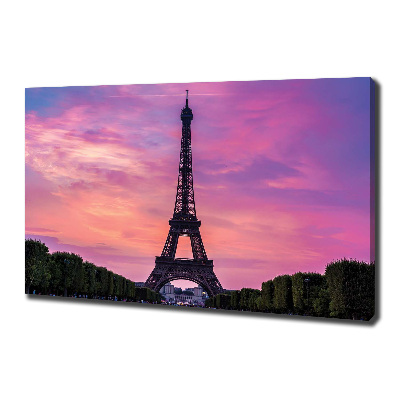 Foto quadro su tela Torre Eiffel Parigi