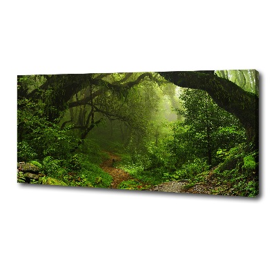 Quadro stampa su tela Giungla in Nepal