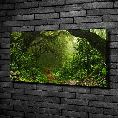 Quadro stampa su tela Giungla in Nepal