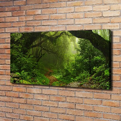 Quadro stampa su tela Giungla in Nepal
