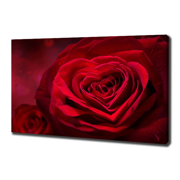 Quadro stampa su tela Cuore di rosa rossa