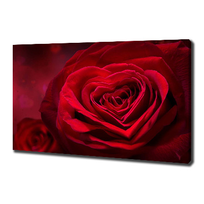 Quadro stampa su tela Cuore di rosa rossa