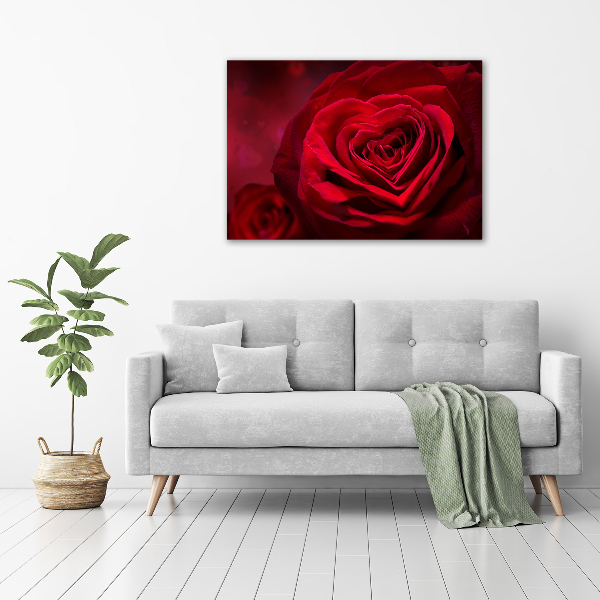 Quadro stampa su tela Cuore di rosa rossa