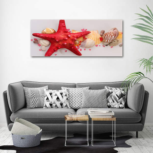 Quadro su tela Stelle marine e conchiglie