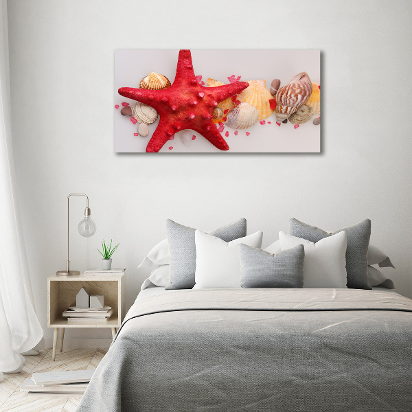 Quadro su tela Stelle marine e conchiglie