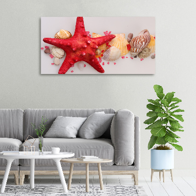 Quadro su tela Stelle marine e conchiglie